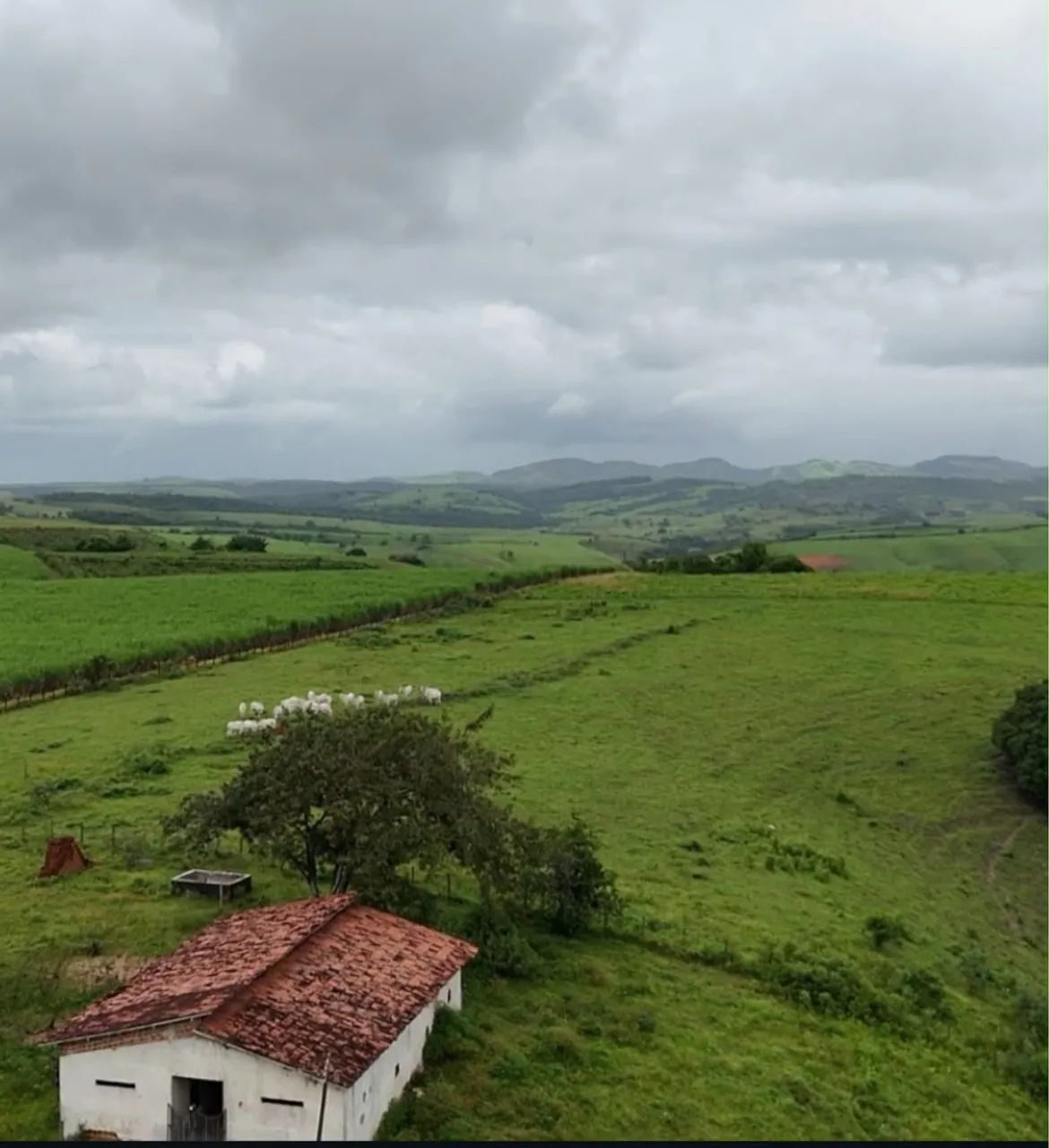 Rancho em Atalaia 