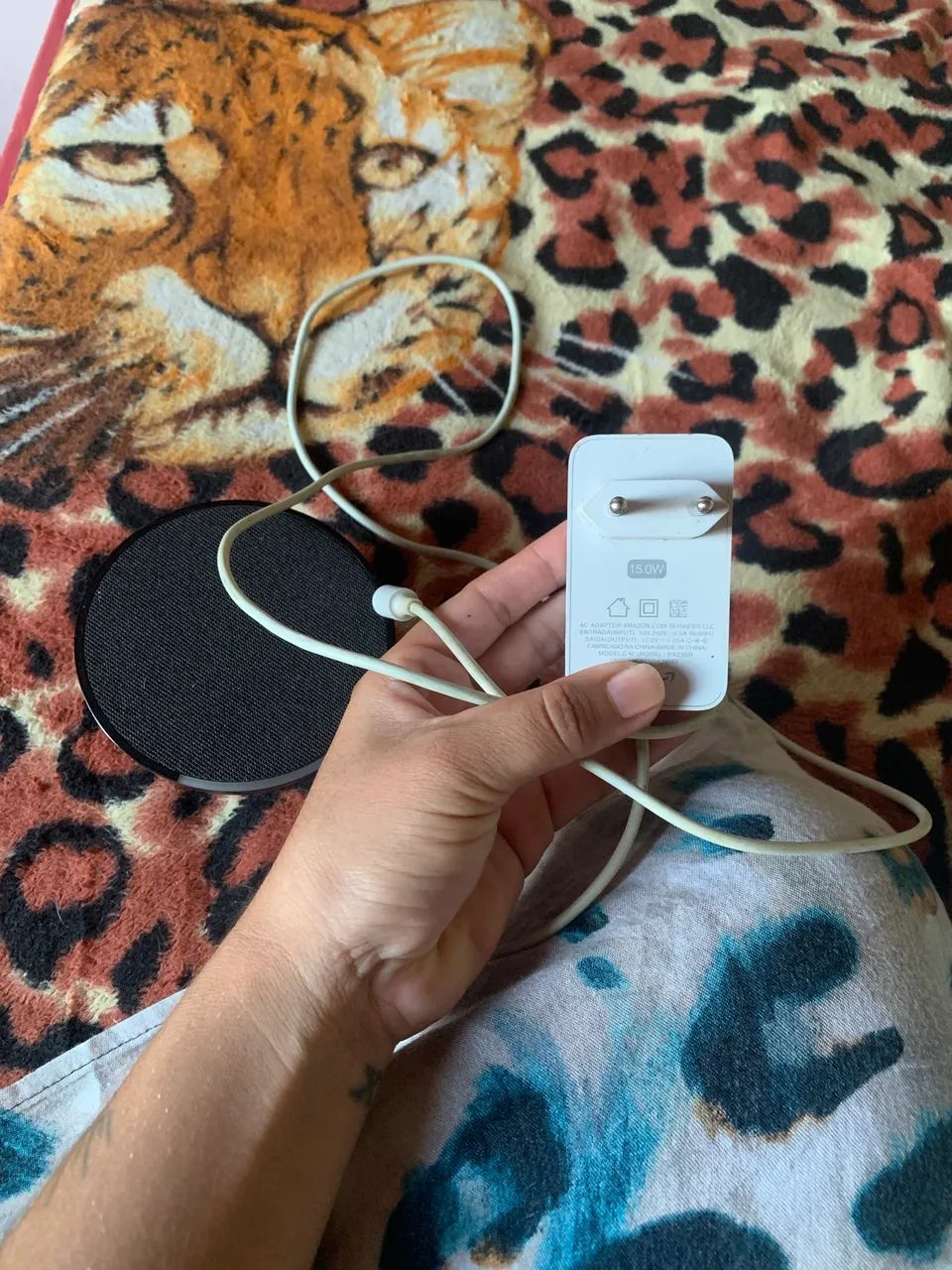 echo dot alexa 