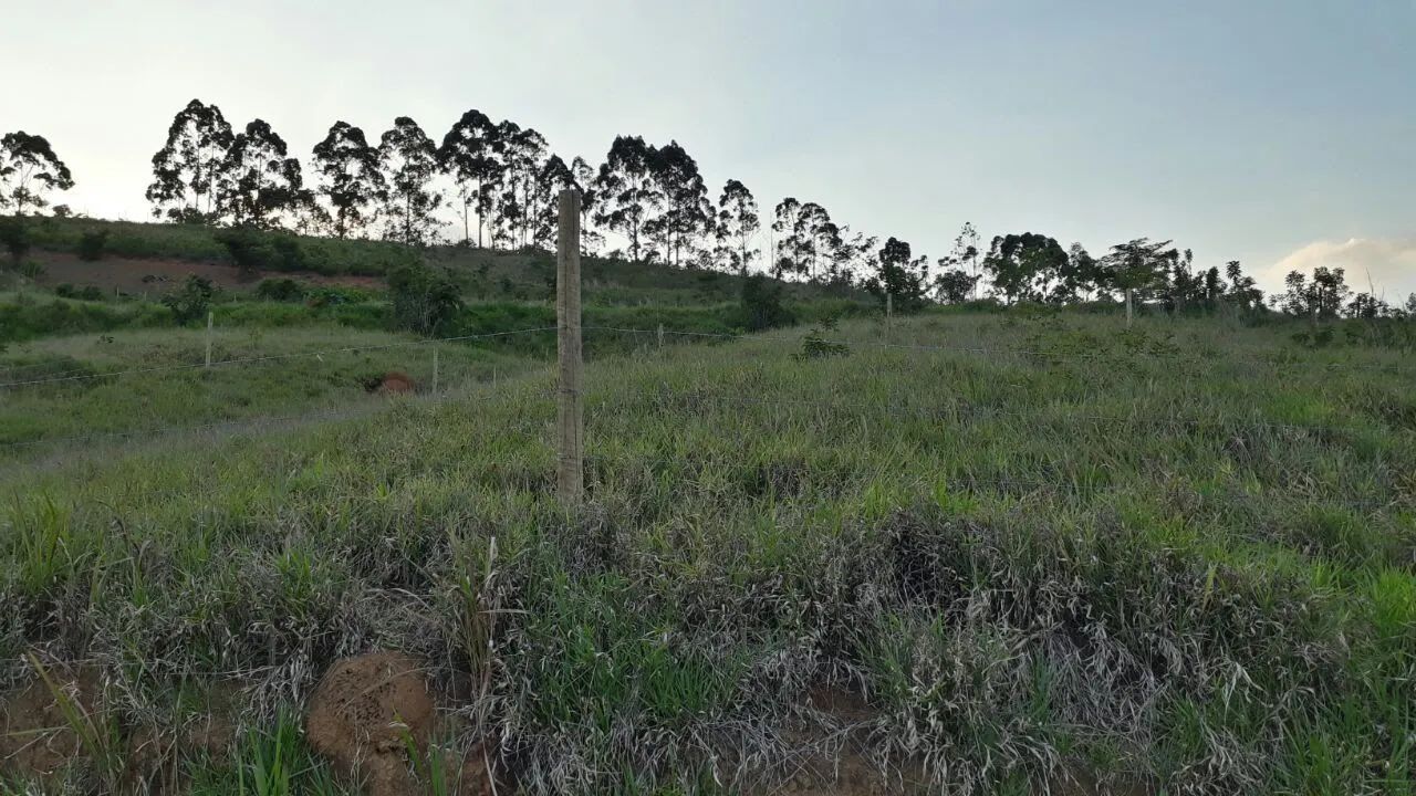 Terreno bairro vila Palmares  - Foto 3