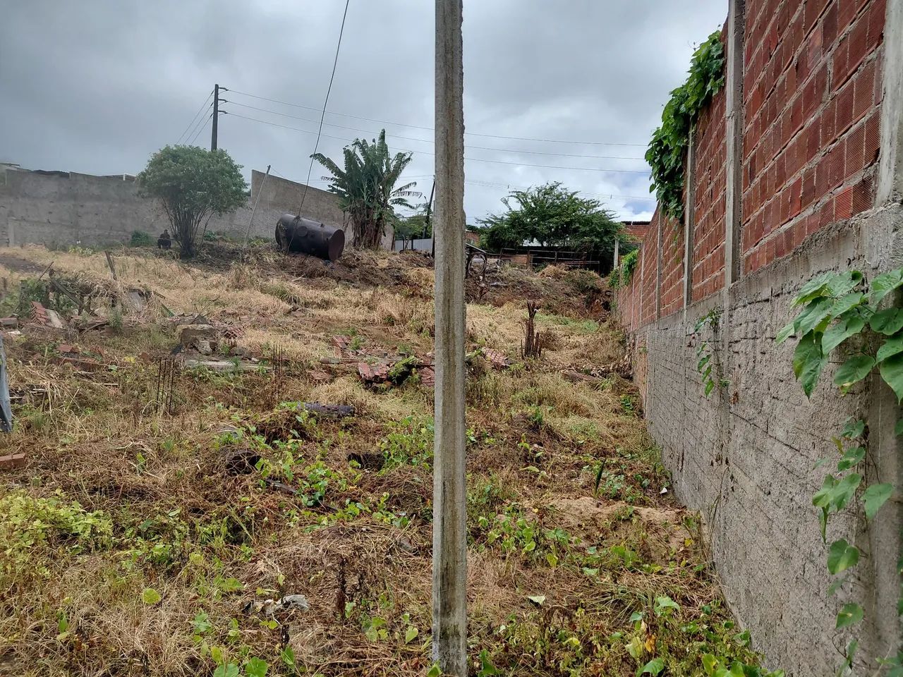 Terreno a 80 metros da BR 101  - Foto 5