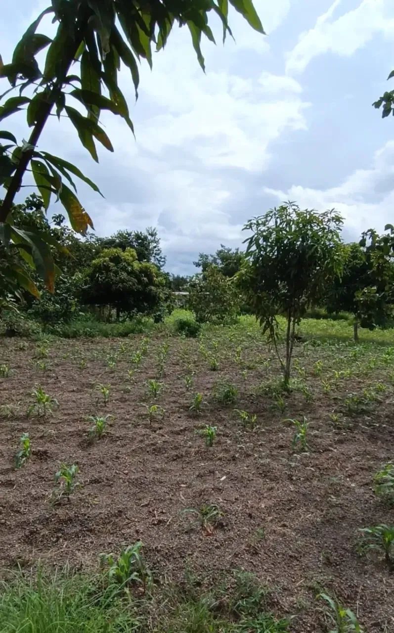 CHACARA COND SONHO VERDE ARAGOIANIA - Foto 4