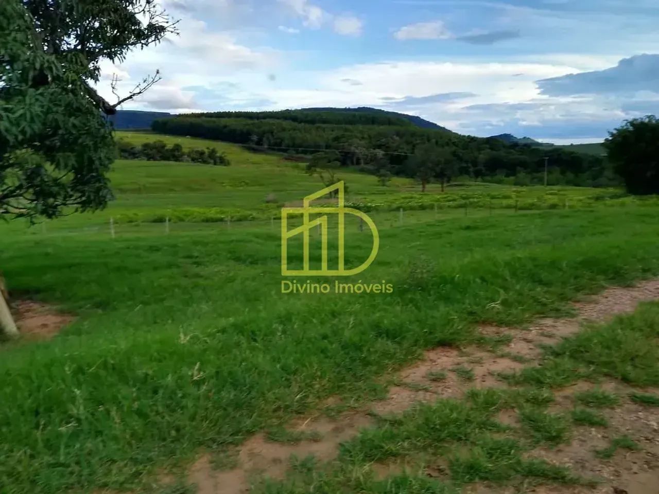 FAZENDA À VENDA EM ANGATUBA  SP