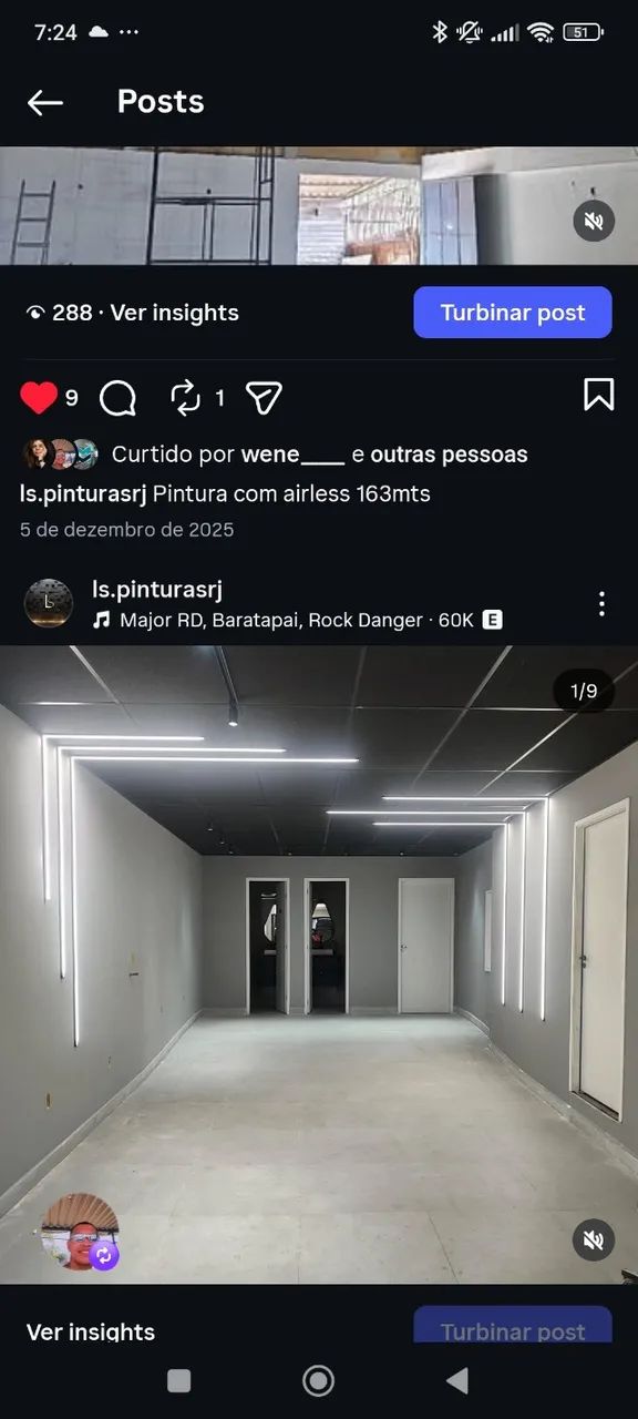 Pintor profissional 