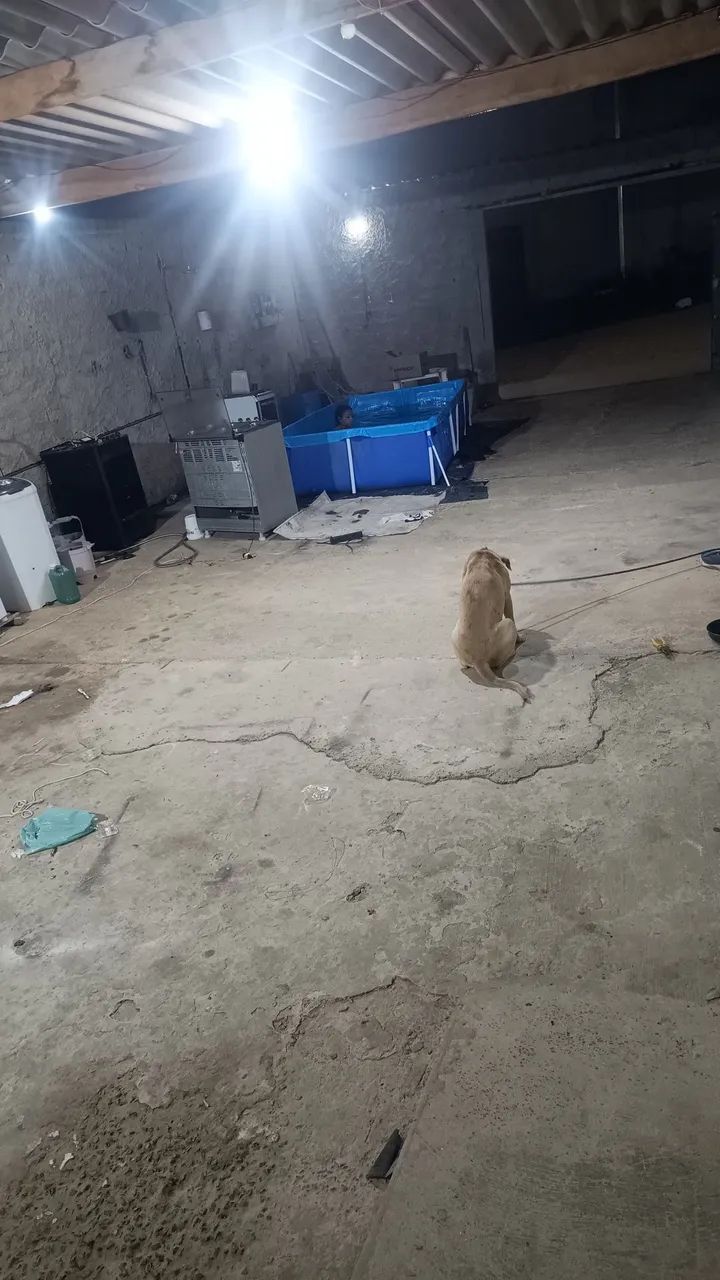 Vendo ou troco casa no jardim colinas2 monte mor  - Foto 4