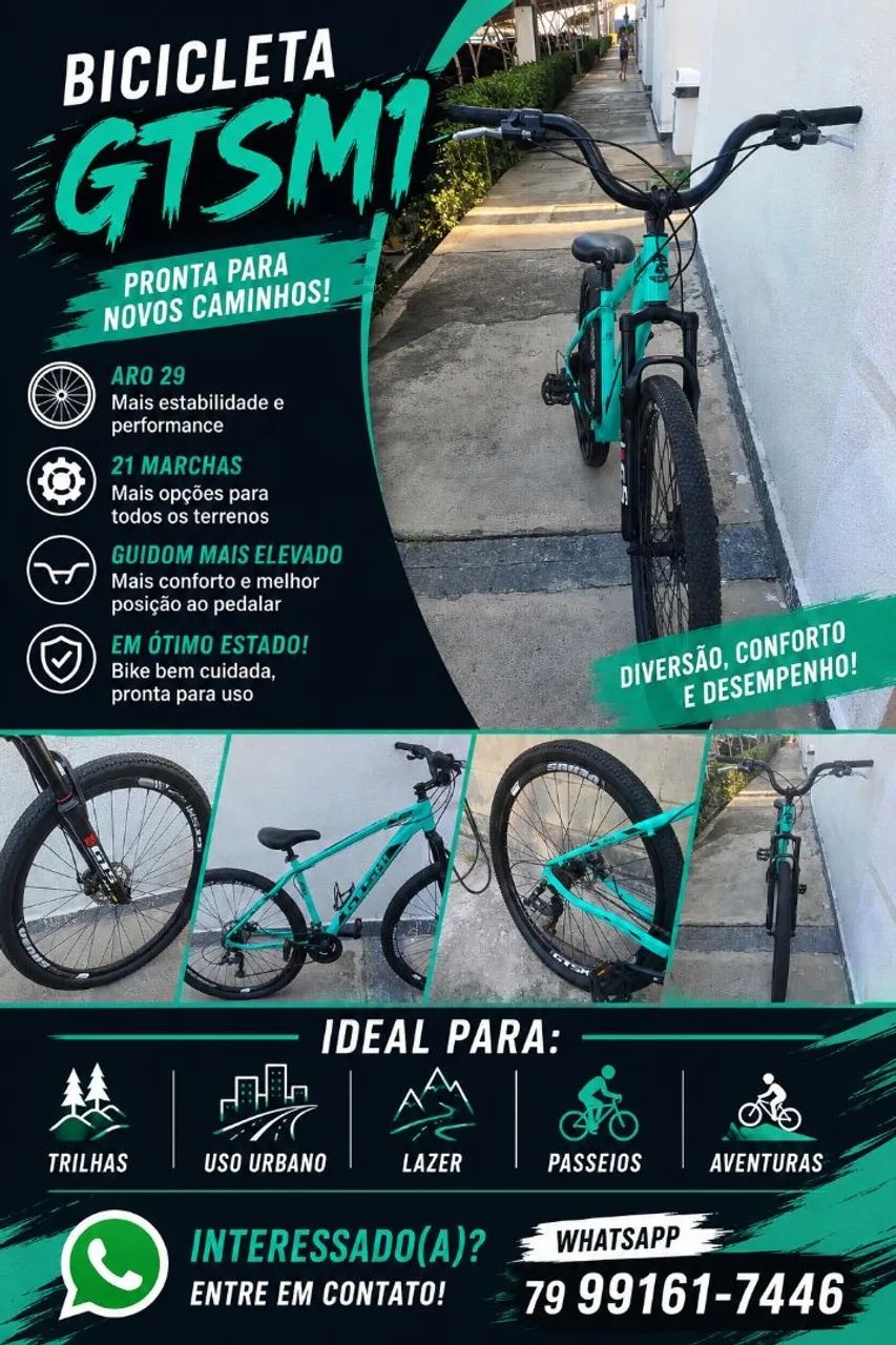 Bicicleta Aro 29 GTSM1