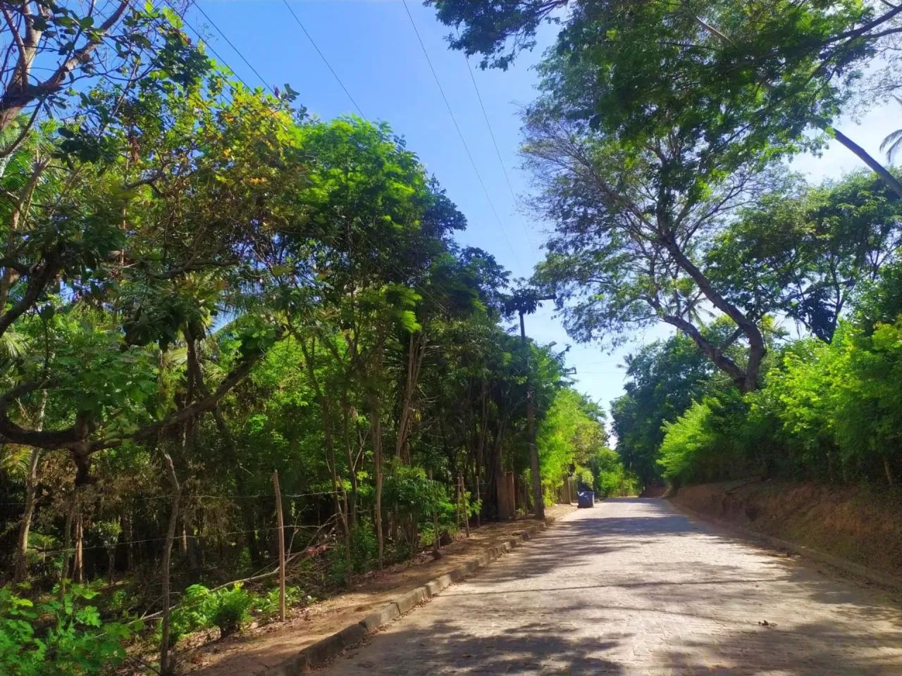 Vendo Terreno em Imbassaí - Foto 3
