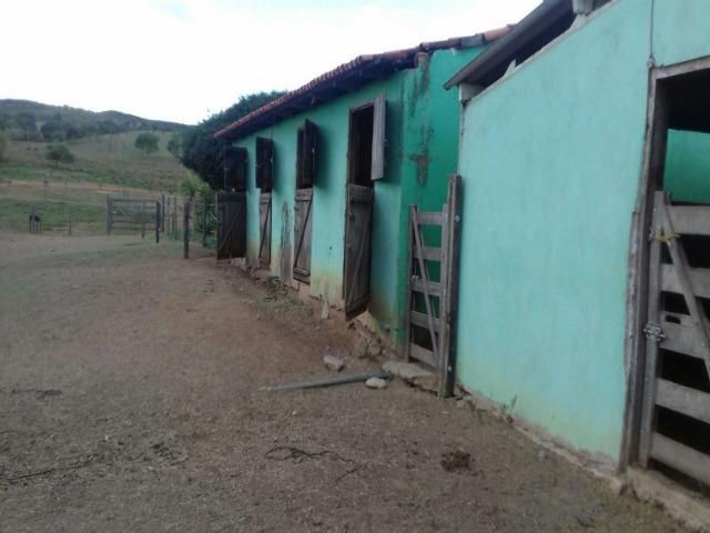 Santo Antônio do Descoberto - GO - Foto 4