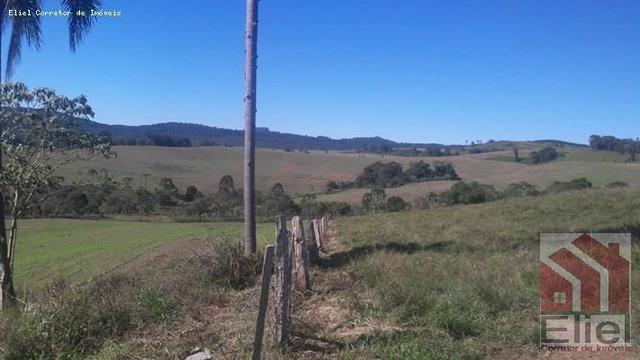 Fazenda para Plantio e Pastagem em Santa Terezinha - Foto 15