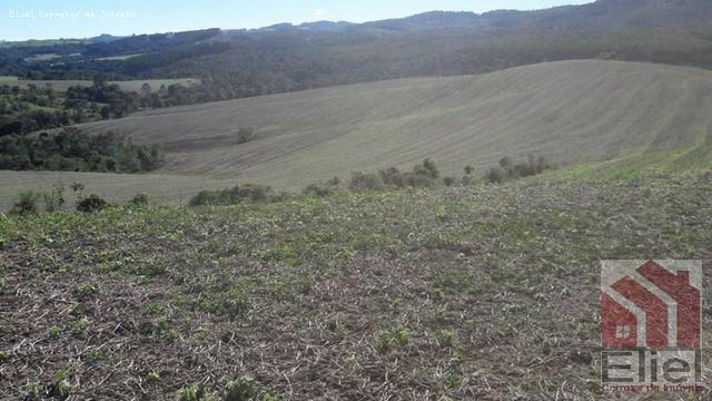 Fazenda para Plantio e Pastagem em Santa Terezinha - Foto 11