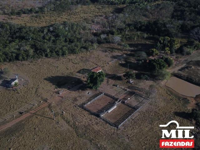 4 km de margens do Rio Araguaia. Fazenda 96 alqueires 464.64 Hectares - Aragarças-GO - Foto 14