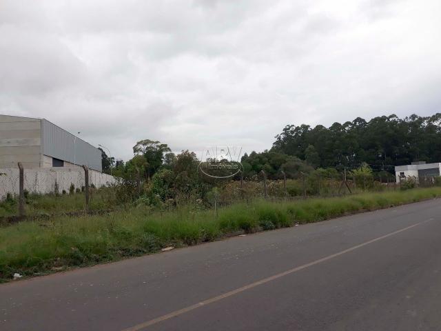 Terreno à venda em Distrito industrial, Cachoeirinha cod:2575 - Foto 3