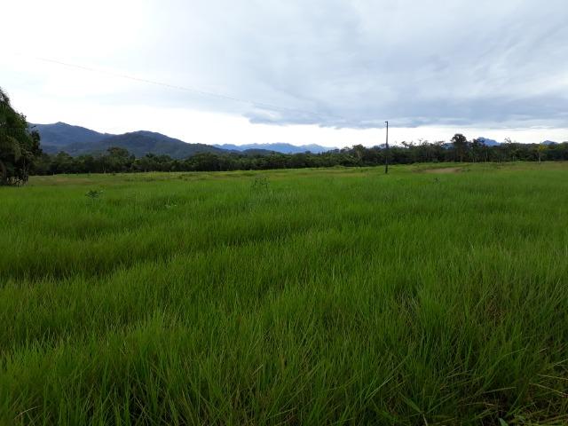 Fazenda Plana em Itapoá com Valor de Ocasião, Aceita parte em Permuta