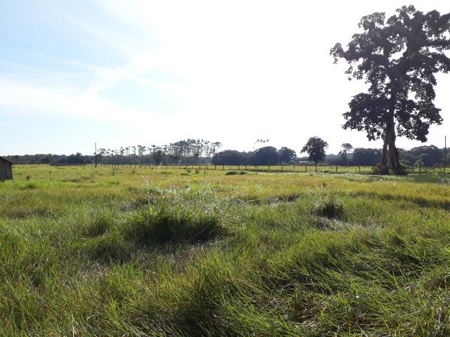 Fazenda Plana em Itapoá com Valor de Ocasião, Aceita parte em Permuta - Foto 14