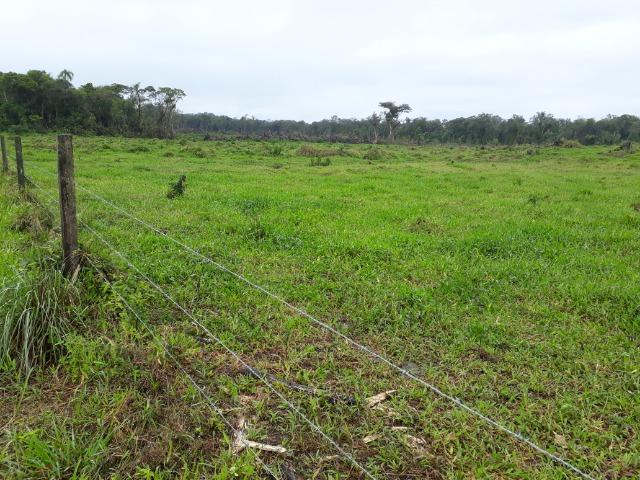Fazenda Plana em Itapoá, Criação de Gado ou Plantio, Aceita Parte em Permuta - Foto 17