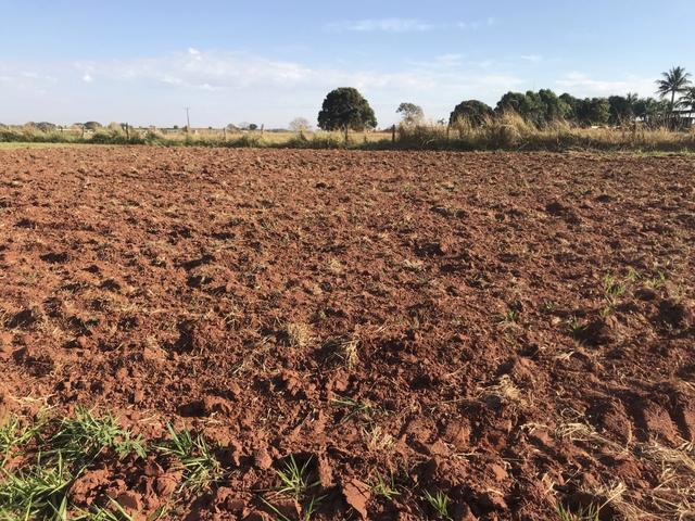 Terreno Golden Park em Urânia - Foto 2