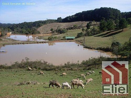 Fazenda Linda, Ideal Até para se Montar um Hotel Fazenda - Foto 5