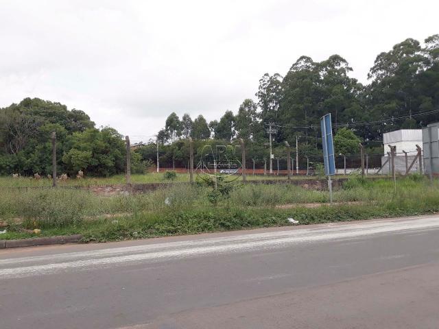 Terreno à venda em Distrito industrial, Cachoeirinha cod:2575 - Foto 6