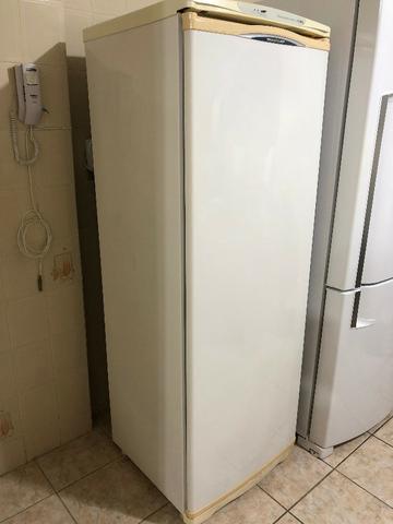 Freezer Brastemp Frost Free 270L
