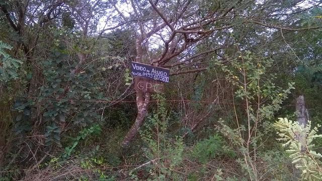 Vendo excelente terreno de 2.000m2 à 300m da Estrada de PIUM - Foto 4