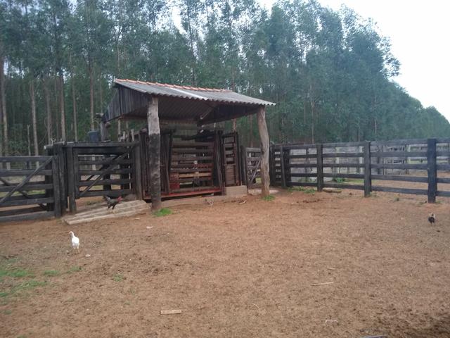 Fazenda - Foto 3