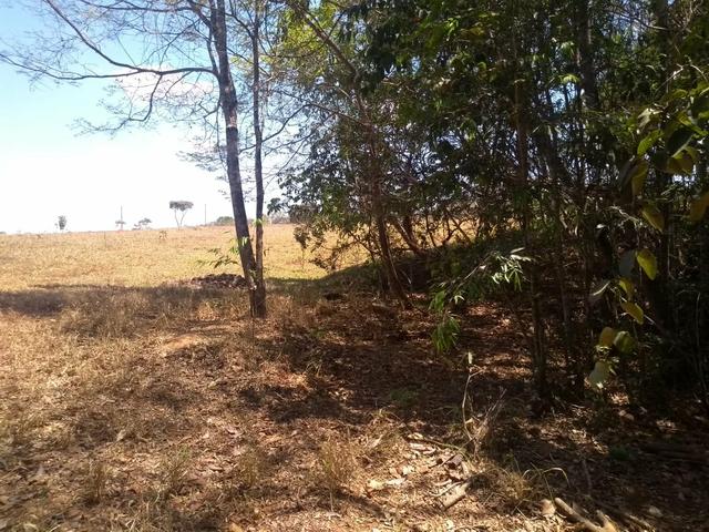 Chácara em Gameleira de Goiás - Foto 4