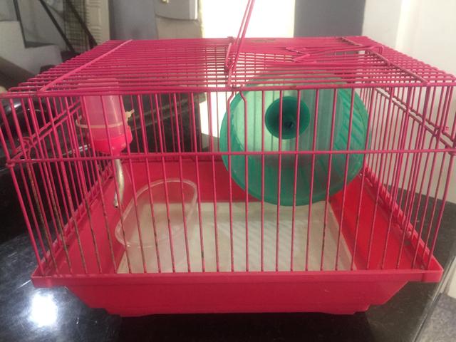 Gaiola de Hamster