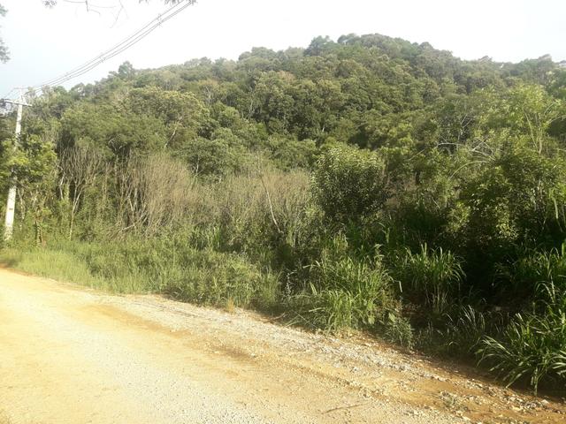 Chácara com 2 alqueires Barra santa rita/Campo magro - Foto 14