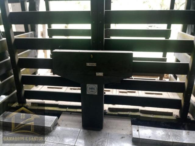 Aluga-se chácara com 18 alqueires com casa e estrutura para criação de gado - Foto 15
