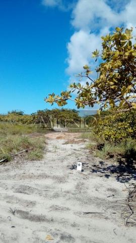 Terreno à venda em Taipu de fora, Maraú cod:57863649 - Foto 12