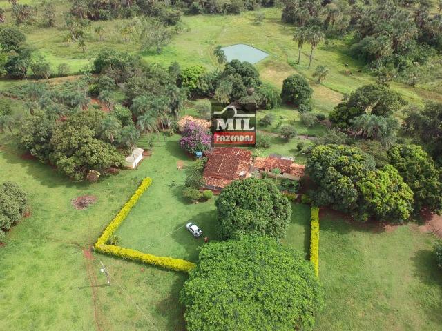 Linda Chácara 1.65 Alqueires ( 8 hectares ) Bela Vista de Goiás; - Foto 13