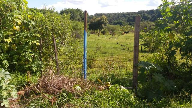 Lote Sucupira Riacho fundo 1 aceito troca e financio - Foto 9