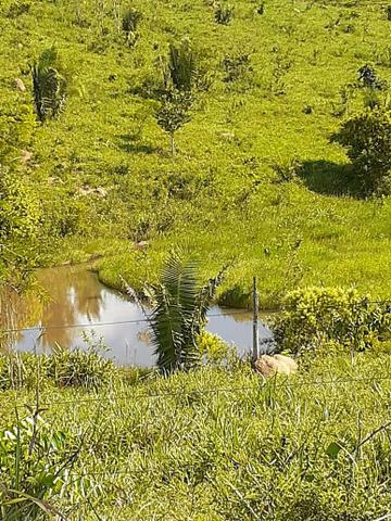 Vendo essa Fazenda - Foto 6