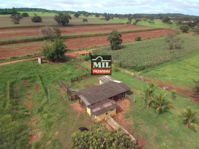 Linda Chácara 1.65 Alqueires ( 8 hectares ) Bela Vista de Goiás; - Foto 2