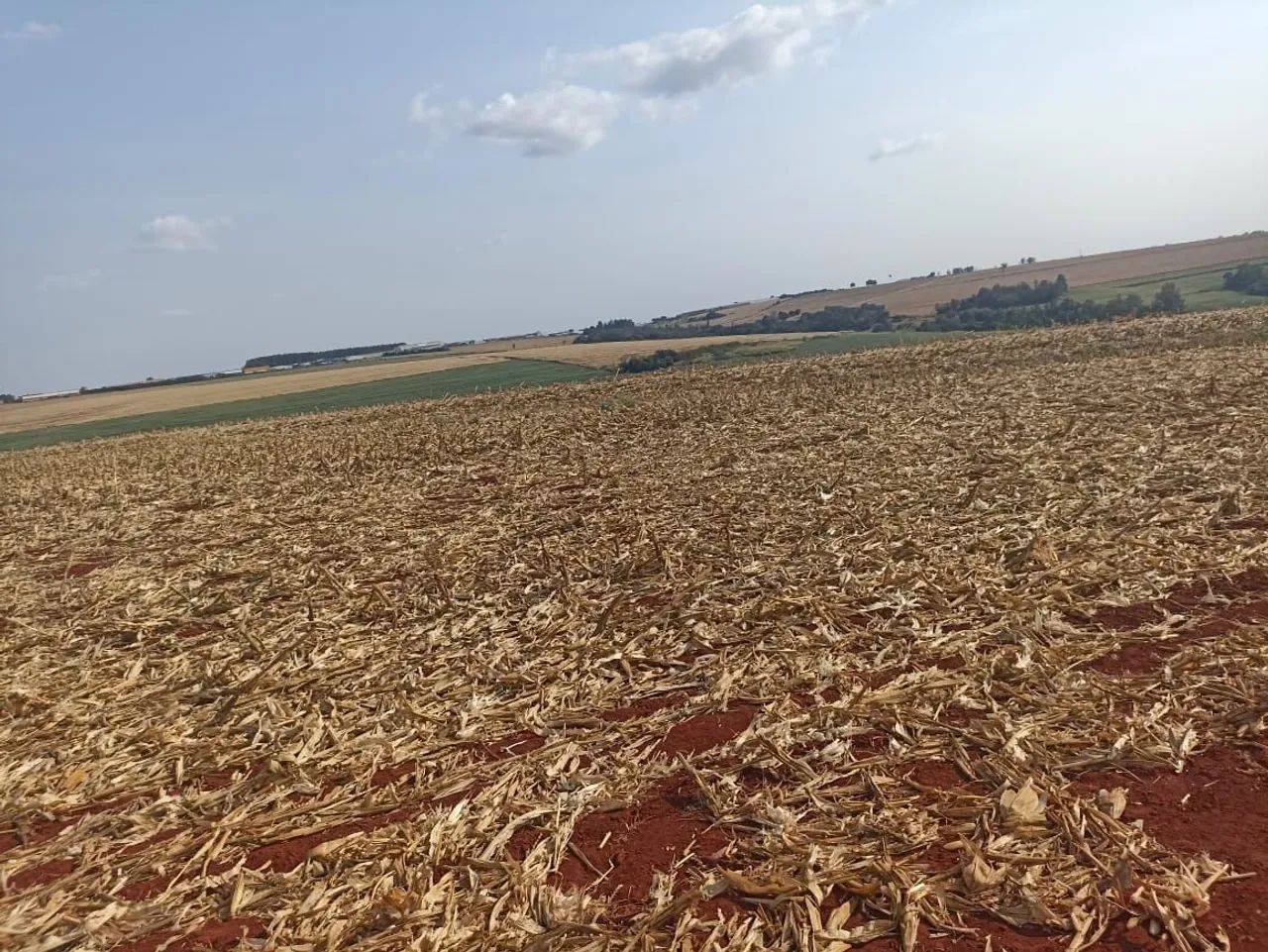 Fazenda 78 alqueiro  - Foto 2