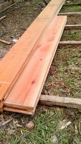 Tabuas de Eucalipto Bruto e Aplainadas 