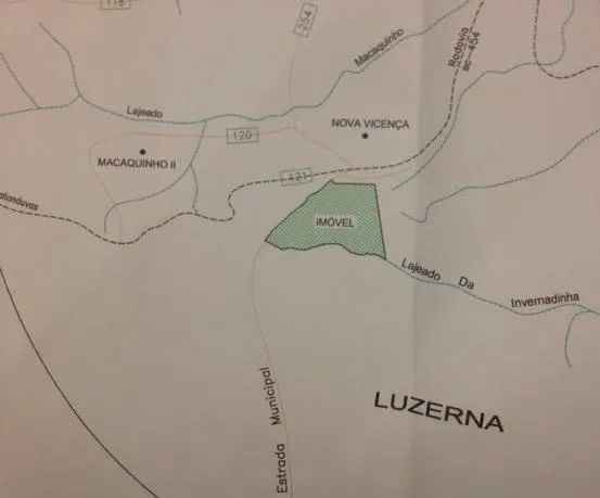 Propriedade Rural Reflorestada com Eucalípto - Foto 4