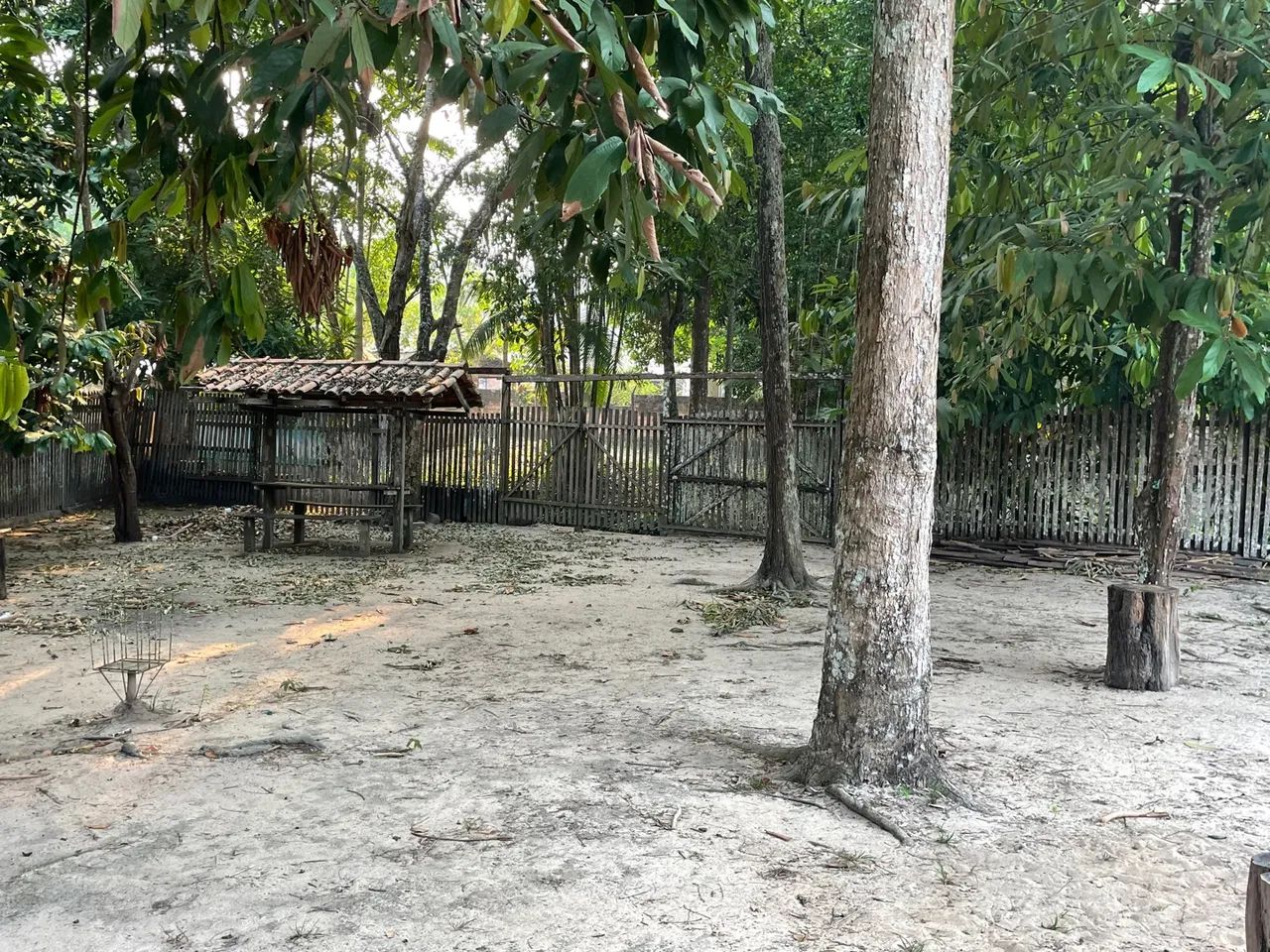 Terreno com Igarapé Av. Everaldo Martins KM 8 - Foto 11