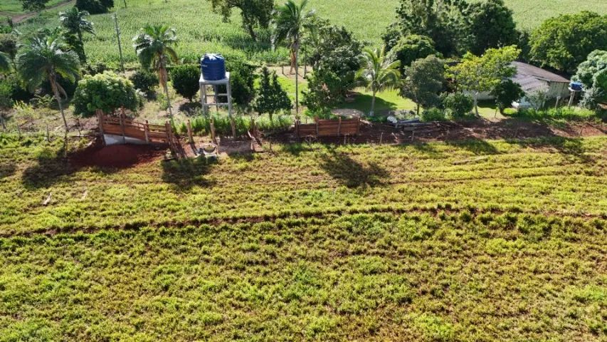 Chácara de 6 Hectares Bem Montada em Jaraguari-MS! - Foto 2