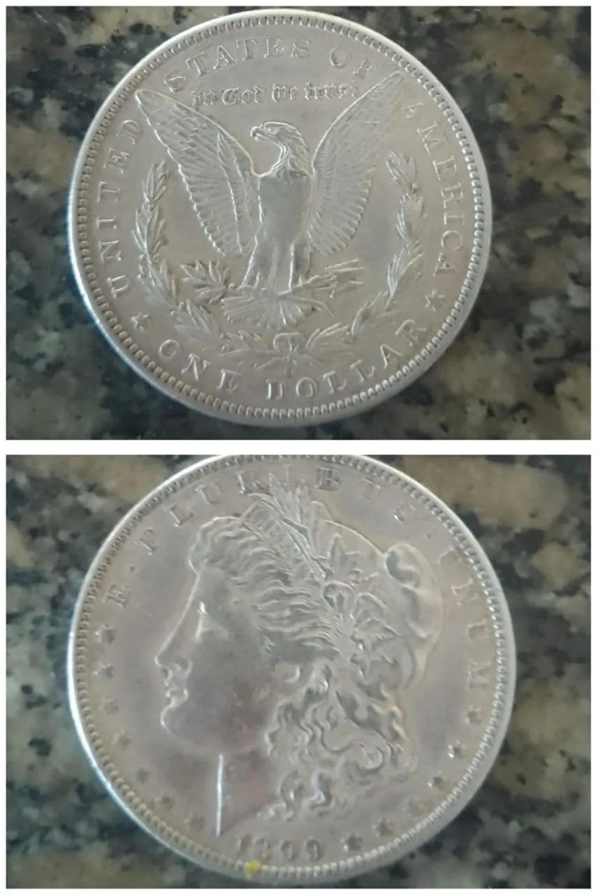 Moeda Morgan Dollar 1899