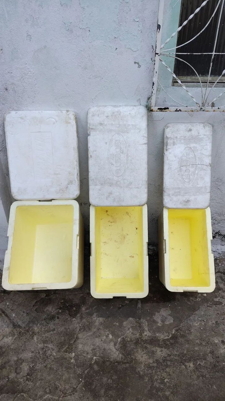 Caixas Térmicas de Isopor tamanhos variados  - Foto 3