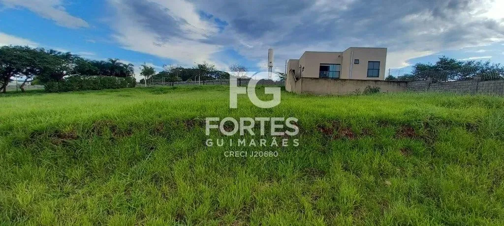 - Ribeirão Preto