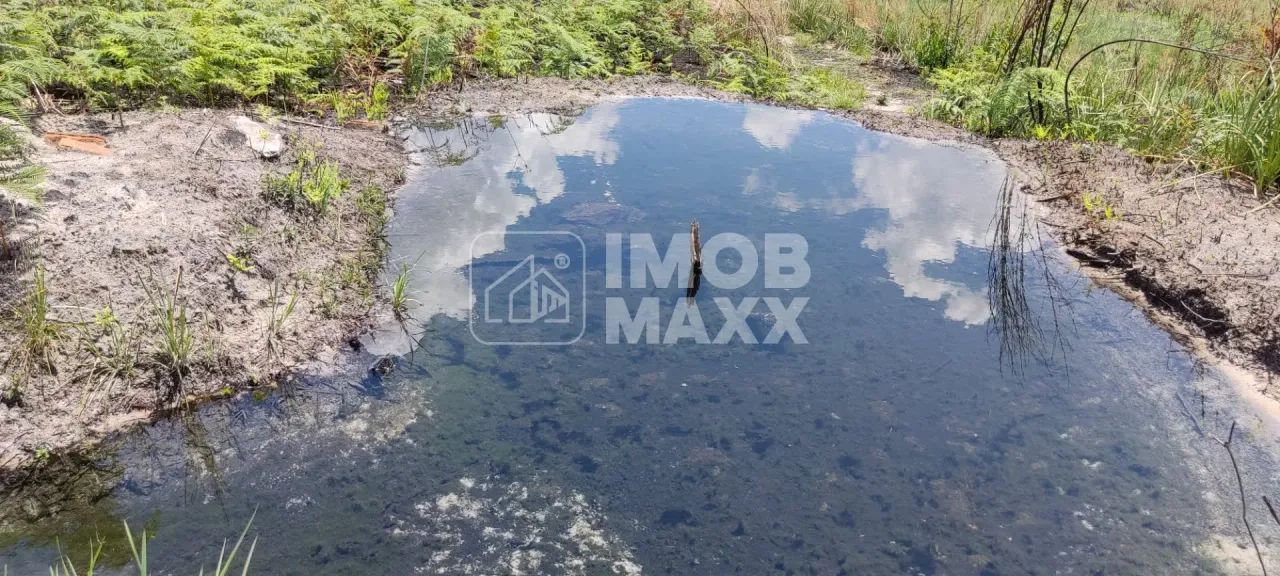 Chácara a venda NR Euller Paranhos - terra nua - 28000 m² - Escriturada e Registrada. - Foto 7