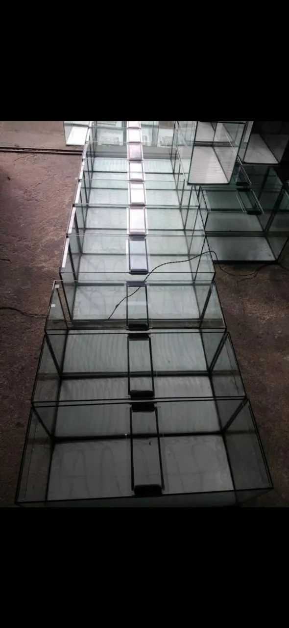 PROMOÇÃO DE AQUARIOS - Foto 6