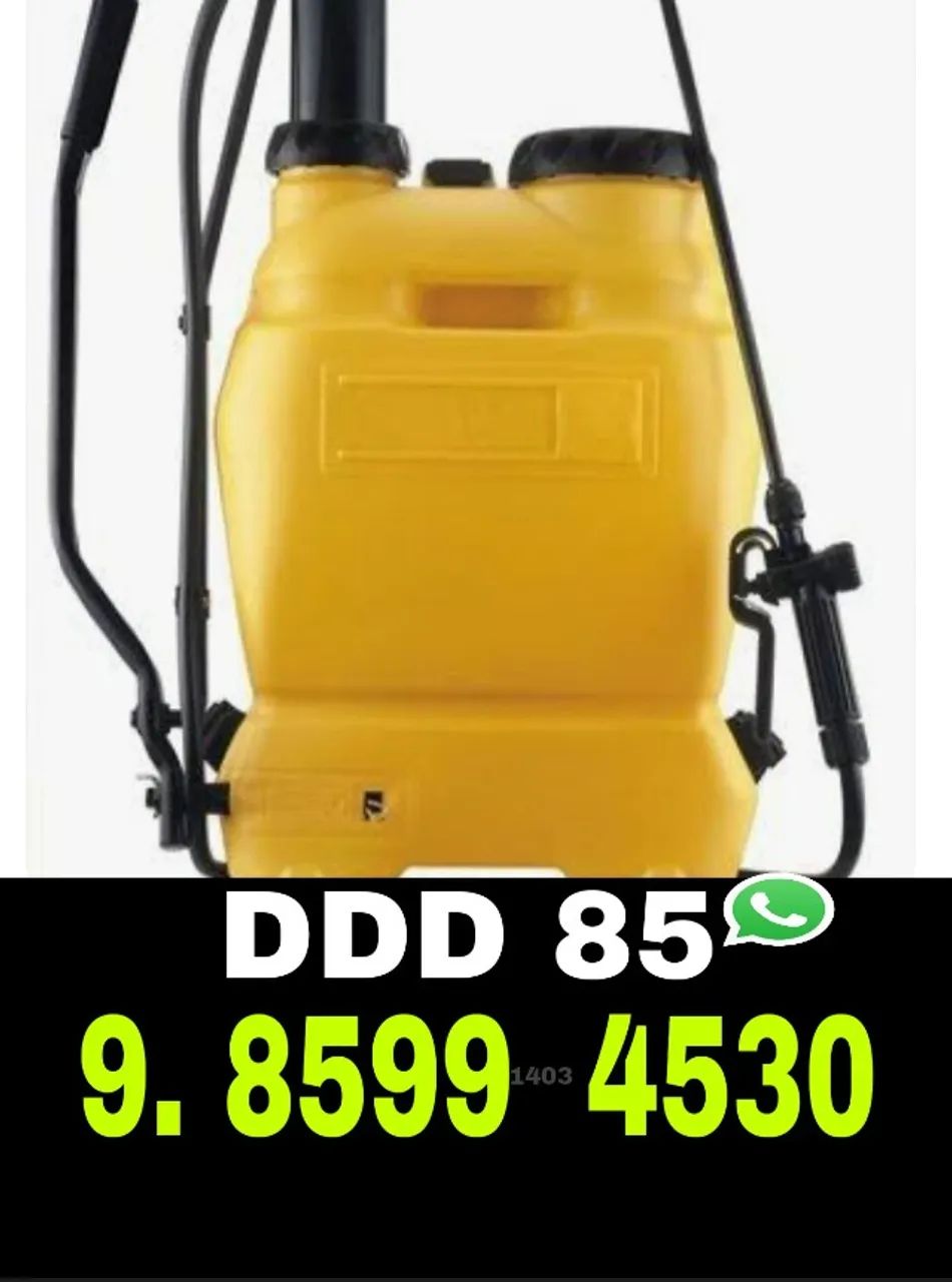 Dedetização, Detetização 