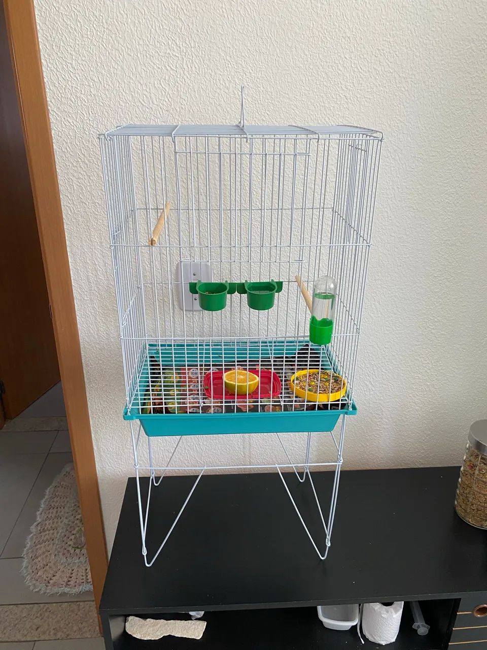 Gaiola64861039404291124