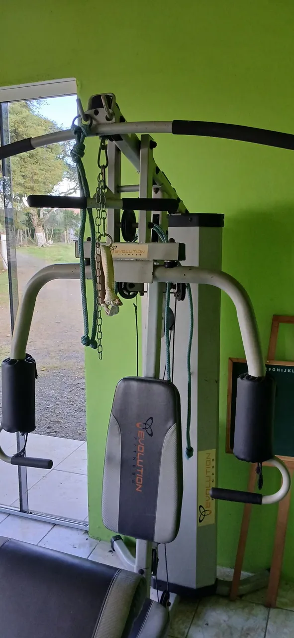 Aparelho de musculação Evolution Fitness
