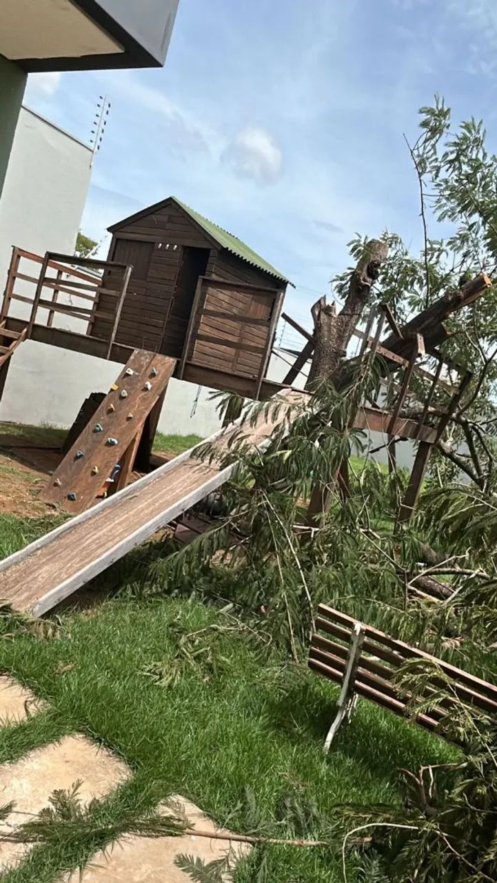 Poda e corte de árvores em geral  - Foto 2