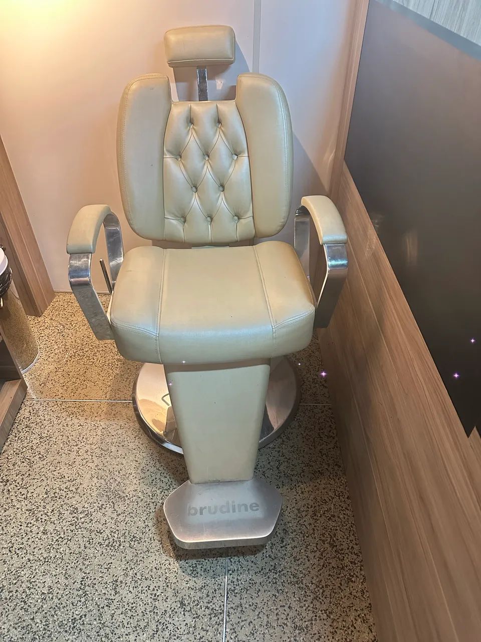 Salon Chair
