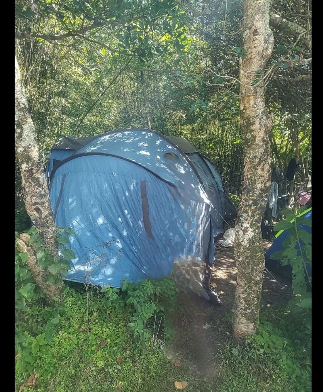 Barraca de camping 63824625471619123