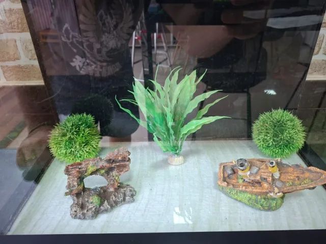 Aquário 50 litros com decoração e redinha - Foto 3